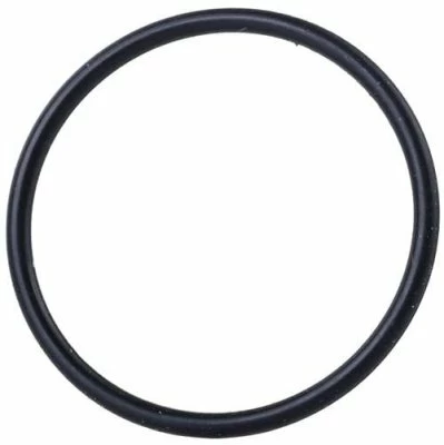 Кільце гумове Bosch GSA 1300 PCE
