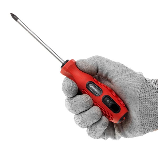 Викрутка хрестова PZ2 x 100 мм INTERTOOL VT-3159