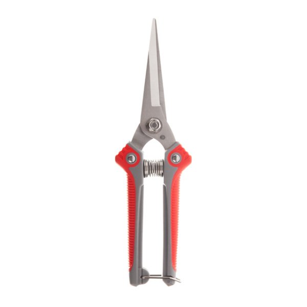 Секатор для винограду, 200 мм, INOX, комбінована рукоятка INTERTOOL FT-1015